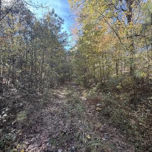 Photo #14 of Off T Tarpey Ln, Sanford, NC 12.6 acres