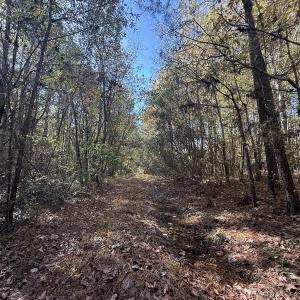 Photo #15 of Off T Tarpey Ln, Sanford, NC 12.6 acres