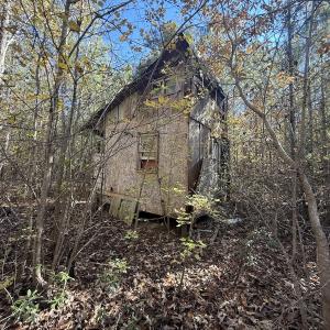 Photo #16 of Off T Tarpey Ln, Sanford, NC 12.6 acres