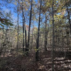 Photo #17 of Off T Tarpey Ln, Sanford, NC 12.6 acres