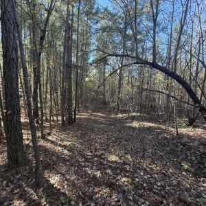 Photo #18 of Off T Tarpey Ln, Sanford, NC 12.6 acres