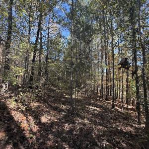 Photo #20 of Off T Tarpey Ln, Sanford, NC 12.6 acres