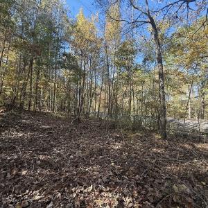 Photo #24 of Off T Tarpey Ln, Sanford, NC 12.6 acres