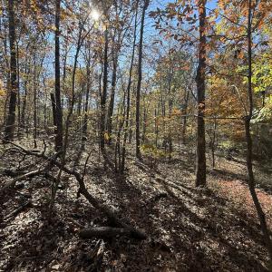 Photo #25 of Off T Tarpey Ln, Sanford, NC 12.6 acres