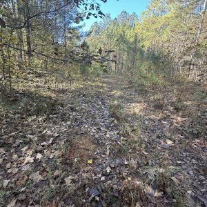Photo #32 of Off T Tarpey Ln, Sanford, NC 12.6 acres
