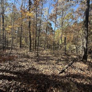 Photo #36 of Off T Tarpey Ln, Sanford, NC 12.6 acres