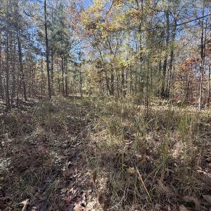 Photo #39 of Off T Tarpey Ln, Sanford, NC 12.6 acres