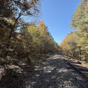 Photo #6 of Off T Tarpey Ln, Sanford, NC 12.6 acres