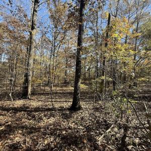 Photo #7 of Off T Tarpey Ln, Sanford, NC 12.6 acres