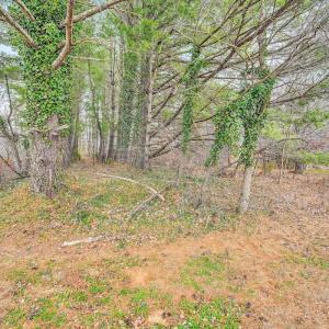 Photo #47 of 1059 Fairview Drive, Big Island, VA 1.8 acres