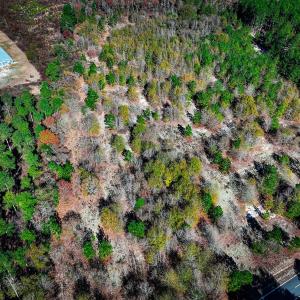 Photo #9 of Off Jesse Smith Rd, Laurel Hill, NC 22.5 acres