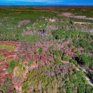 Photo #10 of Off Jesse Smith Rd, Laurel Hill, NC 22.5 acres
