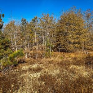 Photo #12 of Off Jesse Smith Rd, Laurel Hill, NC 22.5 acres