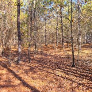 Photo #13 of Off Jesse Smith Rd, Laurel Hill, NC 22.5 acres