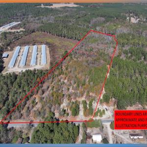 Photo #3 of Off Jesse Smith Rd, Laurel Hill, NC 22.5 acres
