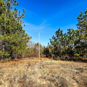 Photo #6 of Off Jesse Smith Rd, Laurel Hill, NC 22.5 acres