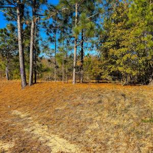 Photo #7 of Off Jesse Smith Rd, Laurel Hill, NC 22.5 acres