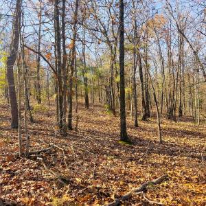 Photo #23 of Off Jesse Smith Rd, Laurel Hill, NC 22.5 acres