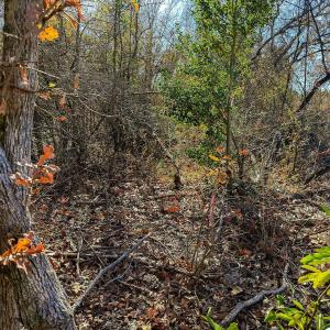 Photo #29 of Off Jesse Smith Rd, Laurel Hill, NC 22.5 acres