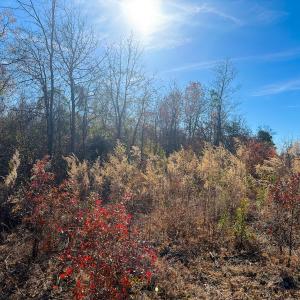 Photo #30 of Off Jesse Smith Rd, Laurel Hill, NC 22.5 acres