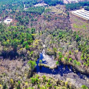 Photo #31 of Off Jesse Smith Rd, Laurel Hill, NC 22.5 acres