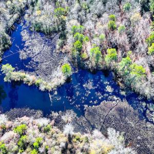 Photo #32 of Off Jesse Smith Rd, Laurel Hill, NC 22.5 acres