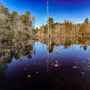 Photo #36 of Off Jesse Smith Rd, Laurel Hill, NC 22.5 acres