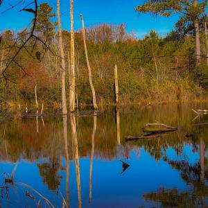 Photo #37 of Off Jesse Smith Rd, Laurel Hill, NC 22.5 acres