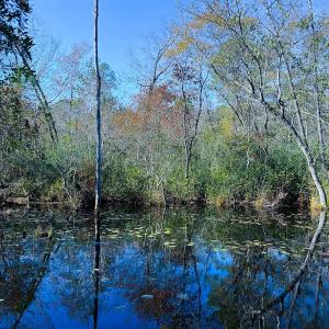 Photo #39 of Off Jesse Smith Rd, Laurel Hill, NC 22.5 acres