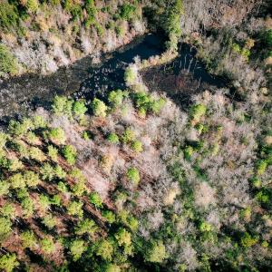 Photo #40 of Off Jesse Smith Rd, Laurel Hill, NC 22.5 acres