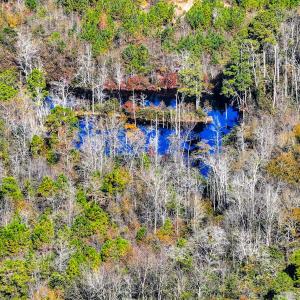 Photo #41 of Off Jesse Smith Rd, Laurel Hill, NC 22.5 acres