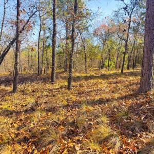 Photo #43 of Off Jesse Smith Rd, Laurel Hill, NC 22.5 acres