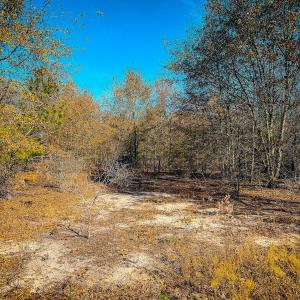 Photo #44 of Off Jesse Smith Rd, Laurel Hill, NC 22.5 acres