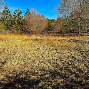 Photo #45 of Off Jesse Smith Rd, Laurel Hill, NC 22.5 acres