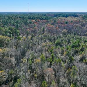 Photo #47 of Off Jesse Smith Rd, Laurel Hill, NC 22.5 acres