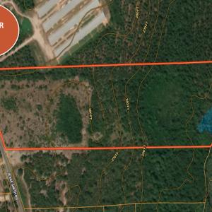 Photo #50 of Off Jesse Smith Rd, Laurel Hill, NC 22.5 acres