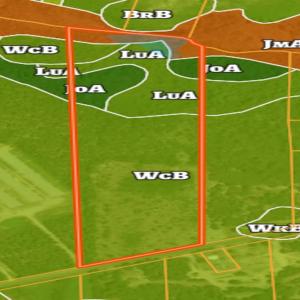 Photo #51 of Off Jesse Smith Rd, Laurel Hill, NC 22.5 acres