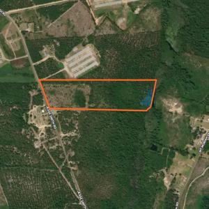 Photo #53 of Off Jesse Smith Rd, Laurel Hill, NC 22.5 acres