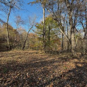 Photo #10 of  Off Beulah Road, Rocky Mount , VA 33.4 acres