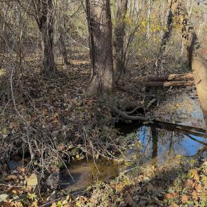 Photo #11 of  Off Beulah Road, Rocky Mount , VA 33.4 acres