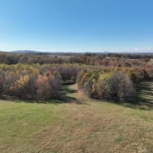Photo #3 of  Off Beulah Road, Rocky Mount , VA 33.4 acres