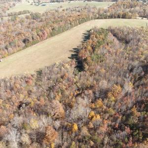 Photo #5 of  Off Beulah Road, Rocky Mount , VA 33.4 acres