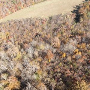 Photo #19 of  Off Beulah Road, Rocky Mount , VA 33.4 acres