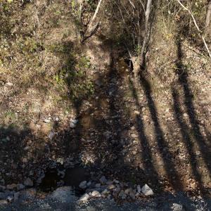 Photo #54 of  Off Beulah Road, Rocky Mount , VA 33.4 acres