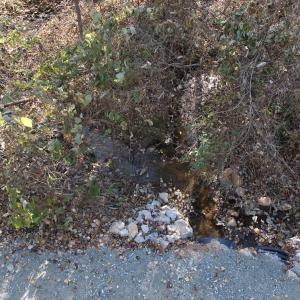 Photo #56 of  Off Beulah Road, Rocky Mount , VA 33.4 acres