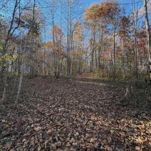 Photo #64 of  Off Beulah Road, Rocky Mount , VA 33.4 acres