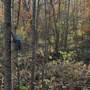 Photo #66 of  Off Beulah Road, Rocky Mount , VA 33.4 acres