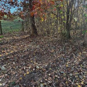 Photo #81 of  Off Beulah Road, Rocky Mount , VA 33.4 acres