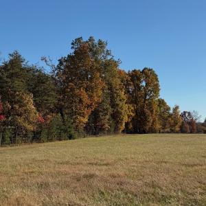 Photo #84 of  Off Beulah Road, Rocky Mount , VA 33.4 acres