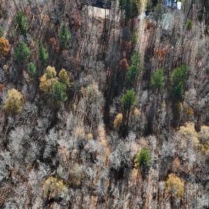 Photo #25 of Off Stone Drive, Roxboro, NC 40.8 acres